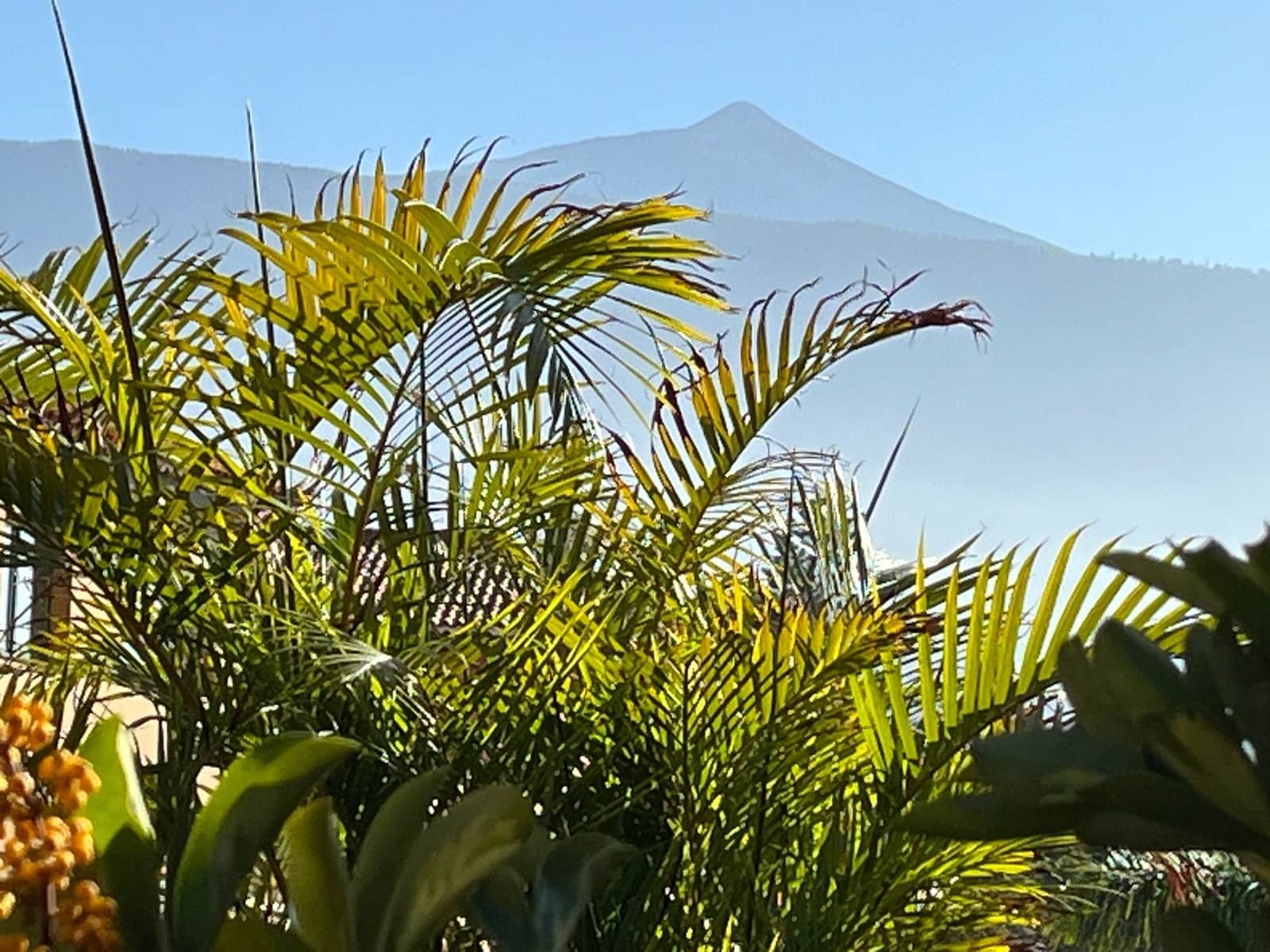 2 Zimmer Apartment zu vermieten in Puerto de la Cruz mit Pool Garage - 2.250 € (Ref: 9547018)