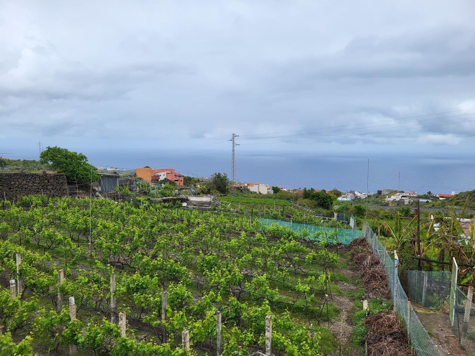 3 soveværelse Villa til salg i Icod de los Vinos - € 275.000 (Ref: 9777322)