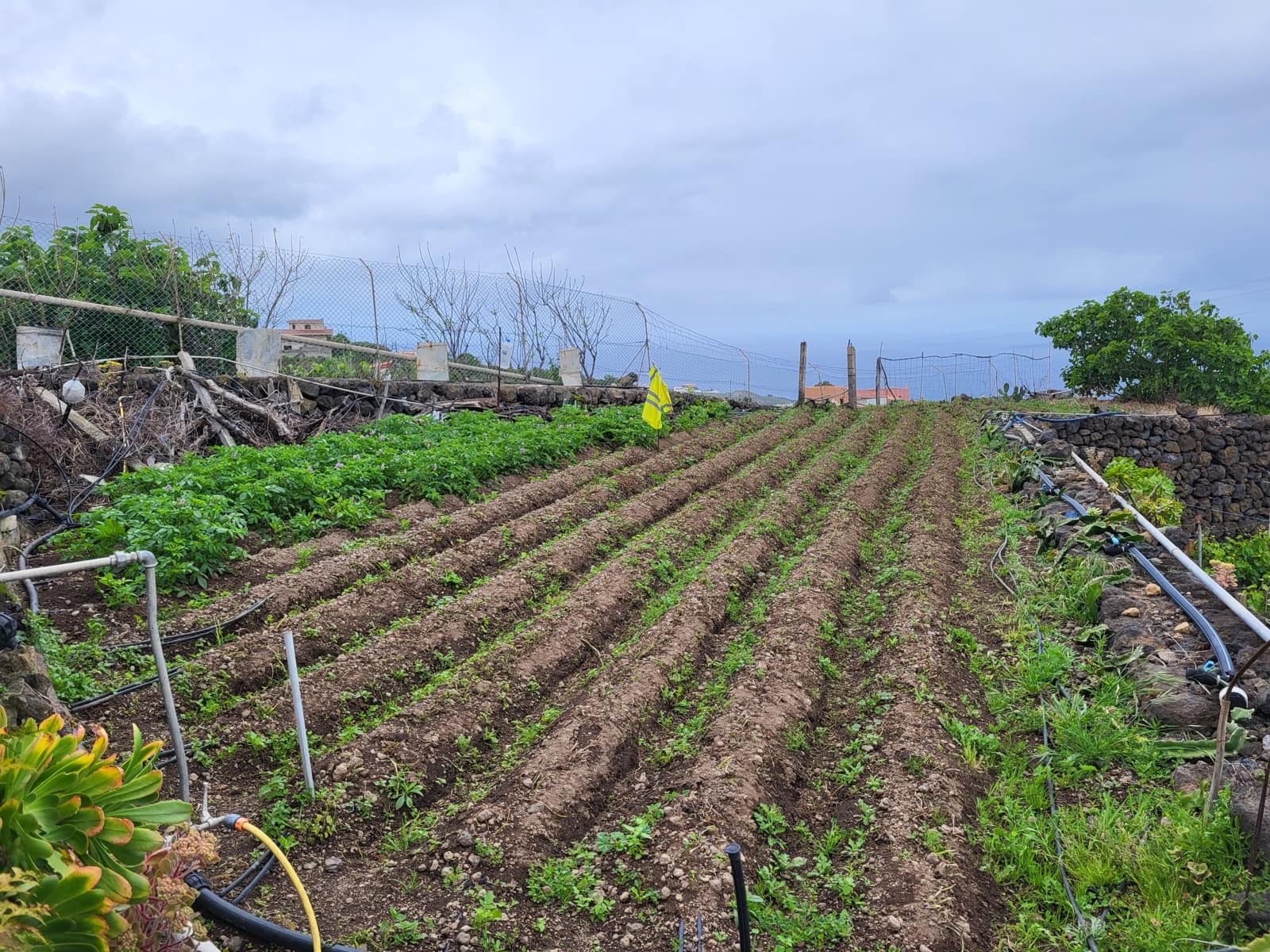 3 soveværelse Villa til salg i Icod de los Vinos - € 275.000 (Ref: 9777322)