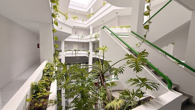 Appartement de 1 chambre à louer à Puerto de la Cruz avec piscine - 1 000 € (Ref: 9829916)