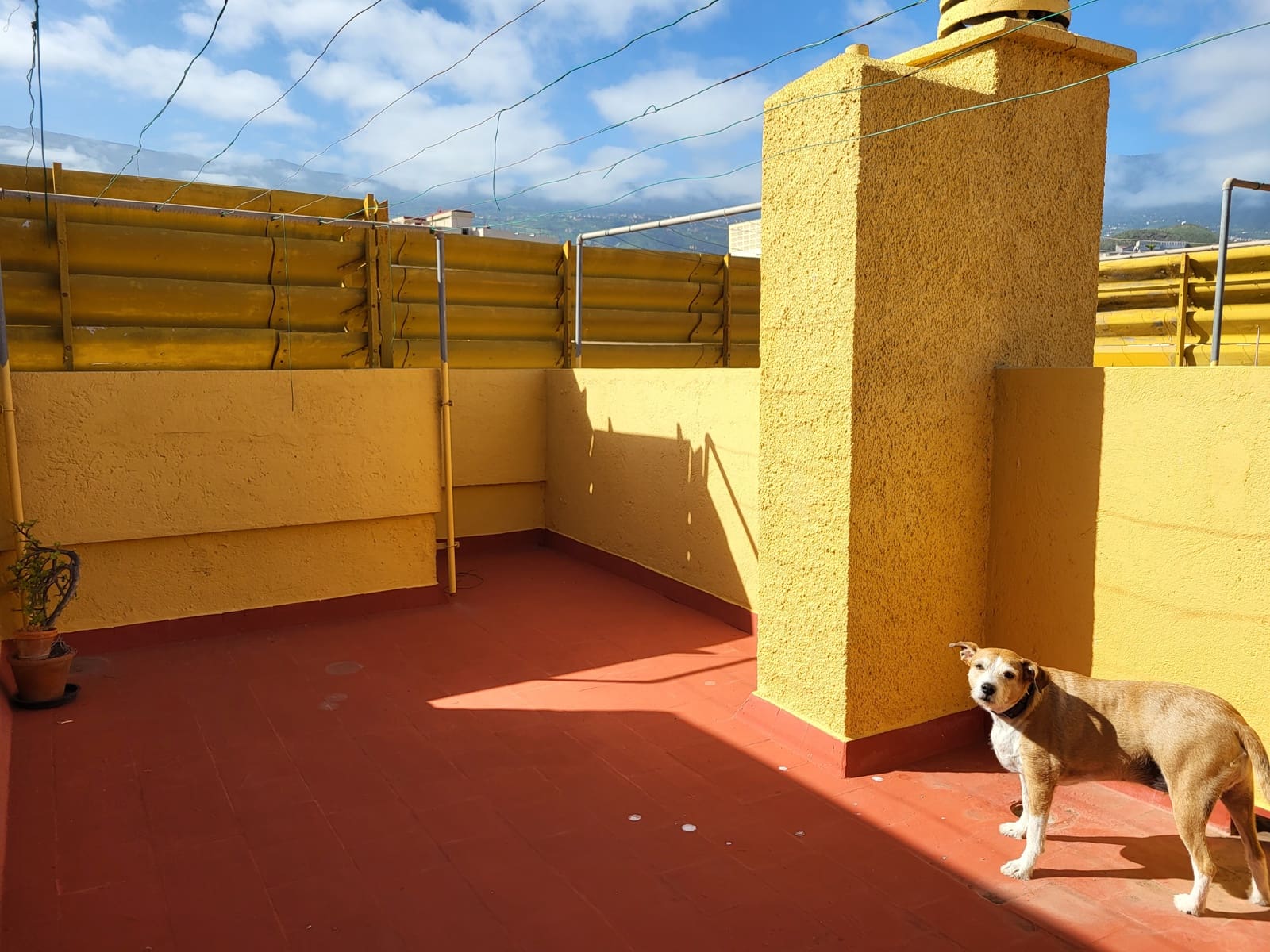 4 Zimmer Apartment zu verkaufen in Puerto de la Cruz mit Garage - 330.000 € (Ref: 9854461)
