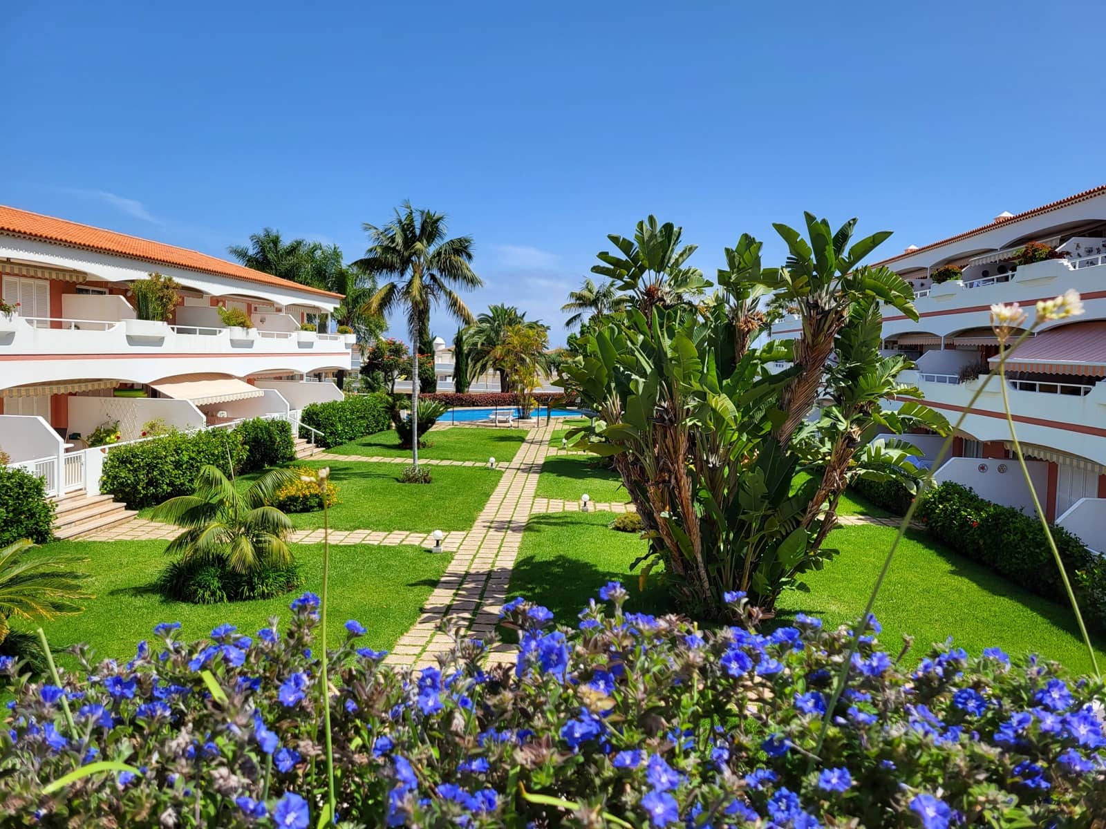 1 Zimmer Apartment zu verkaufen in Puerto de la Cruz mit Pool Garage - 275.000 € (Ref: 9882672)