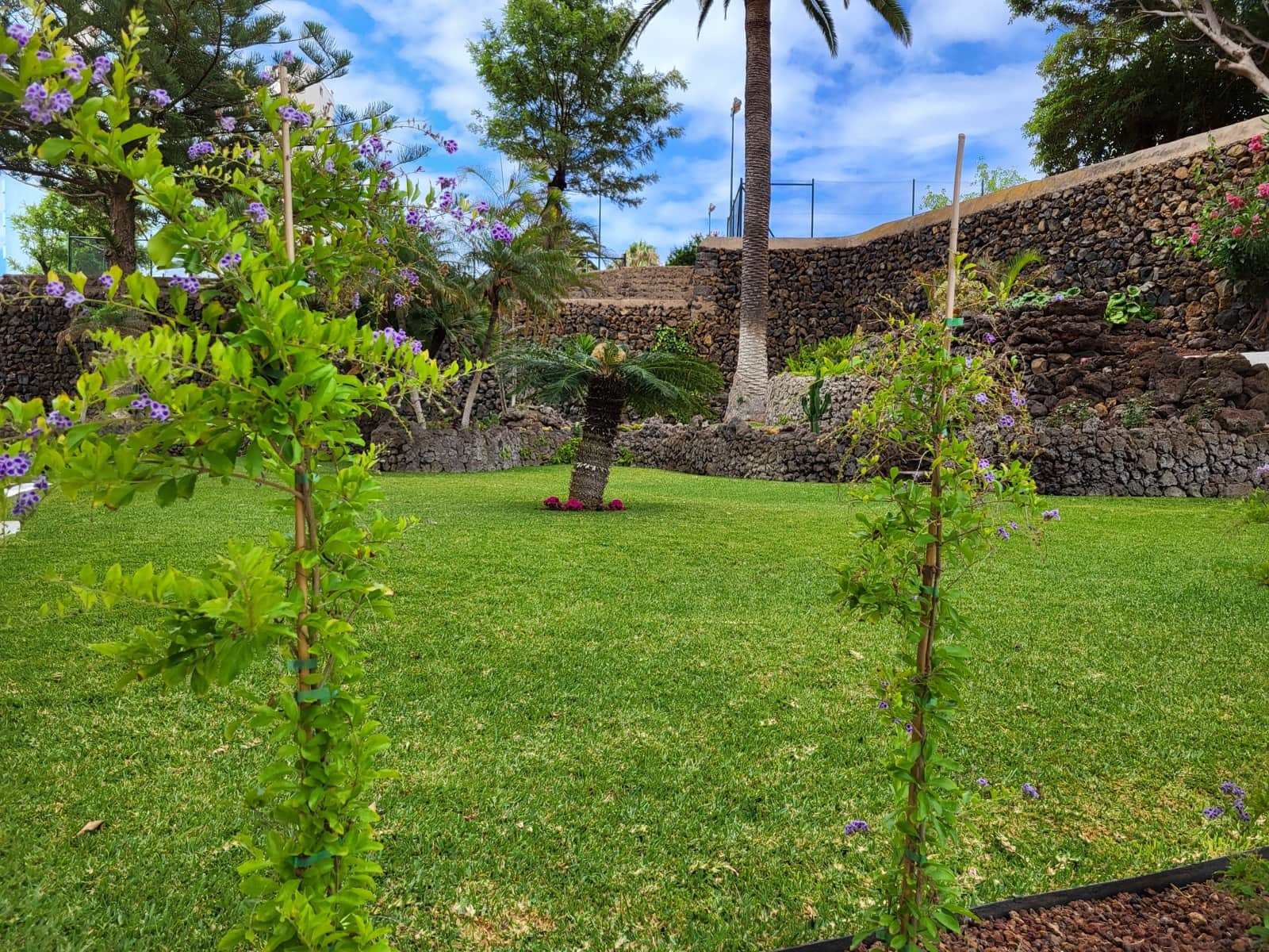 Leilighet til salgs i Puerto de la Cruz med svømmebasseng - € 169 000 (Ref: 9997541)