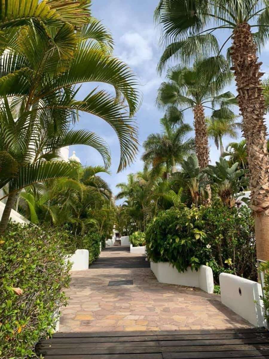 1 soveværelse Lejlighed til salg i Playa Paraiso med swimmingpool garage - € 385.000 (Ref: 9518259)