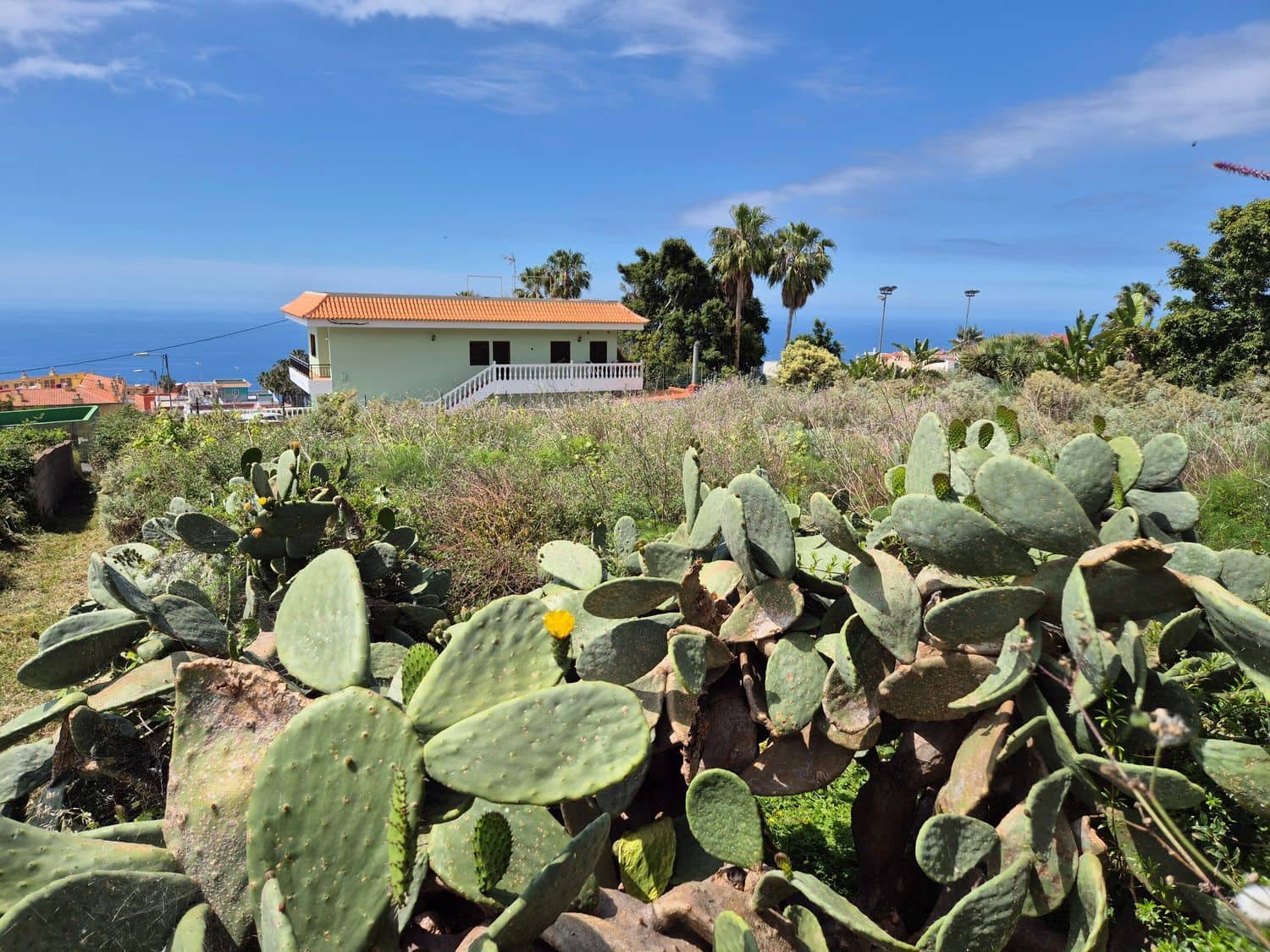 Undeveloped Land for sale in El Sauzal - € 330,000 (Ref: 9835198)