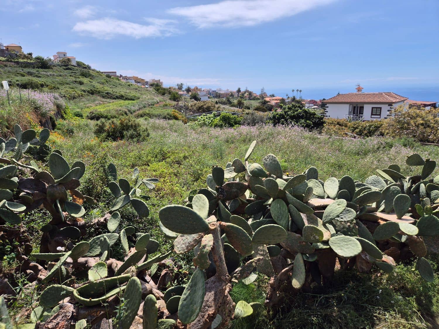Undeveloped Land for sale in El Sauzal - € 330,000 (Ref: 9835198)