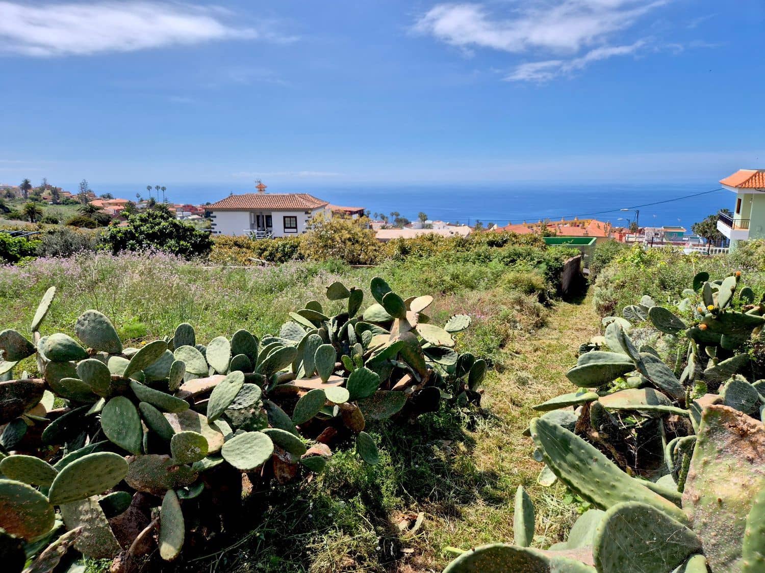 Undeveloped Land for sale in El Sauzal - € 330,000 (Ref: 9835198)