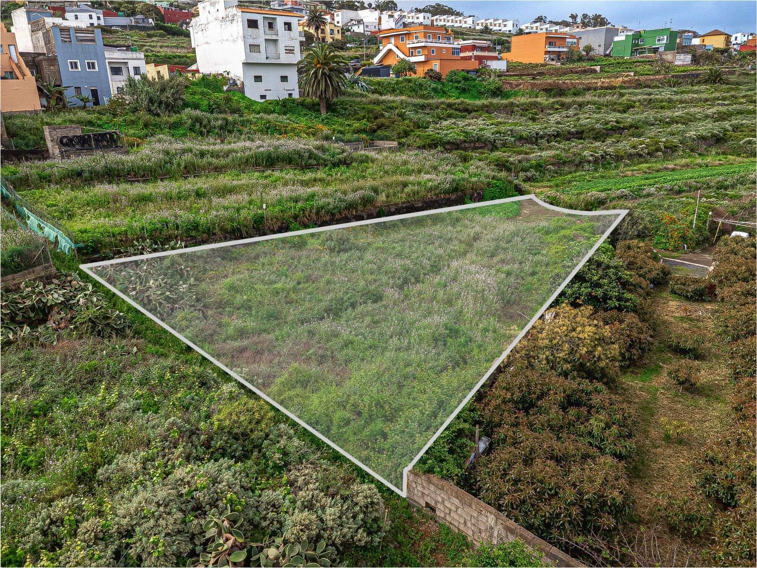 Undeveloped Land for sale in El Sauzal - € 330,000 (Ref: 9835198)