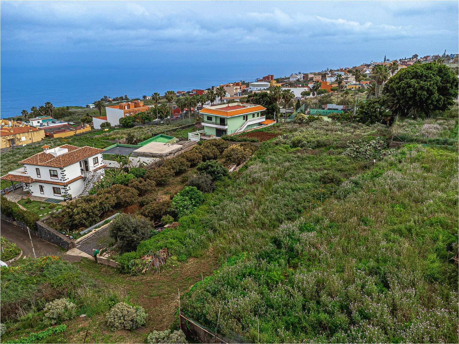Undeveloped Land for sale in El Sauzal - € 330,000 (Ref: 9835198)