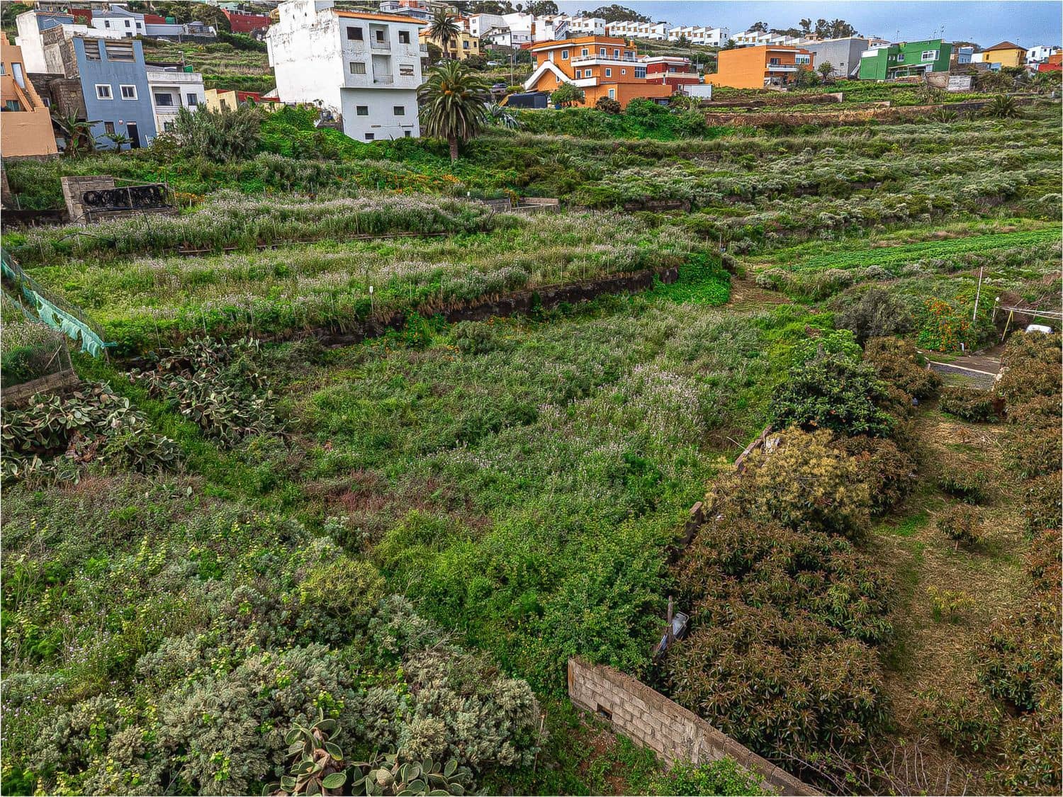 Undeveloped Land for sale in El Sauzal - € 330,000 (Ref: 9835198)