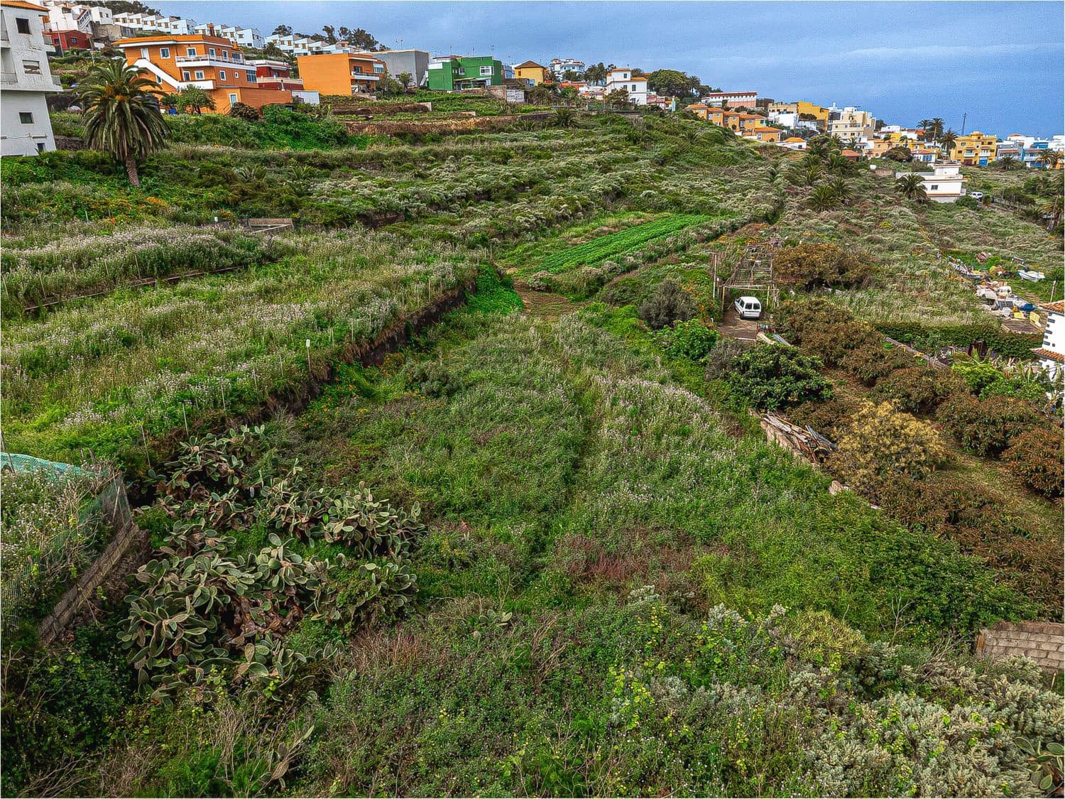 Undeveloped Land for sale in El Sauzal - € 330,000 (Ref: 9835198)