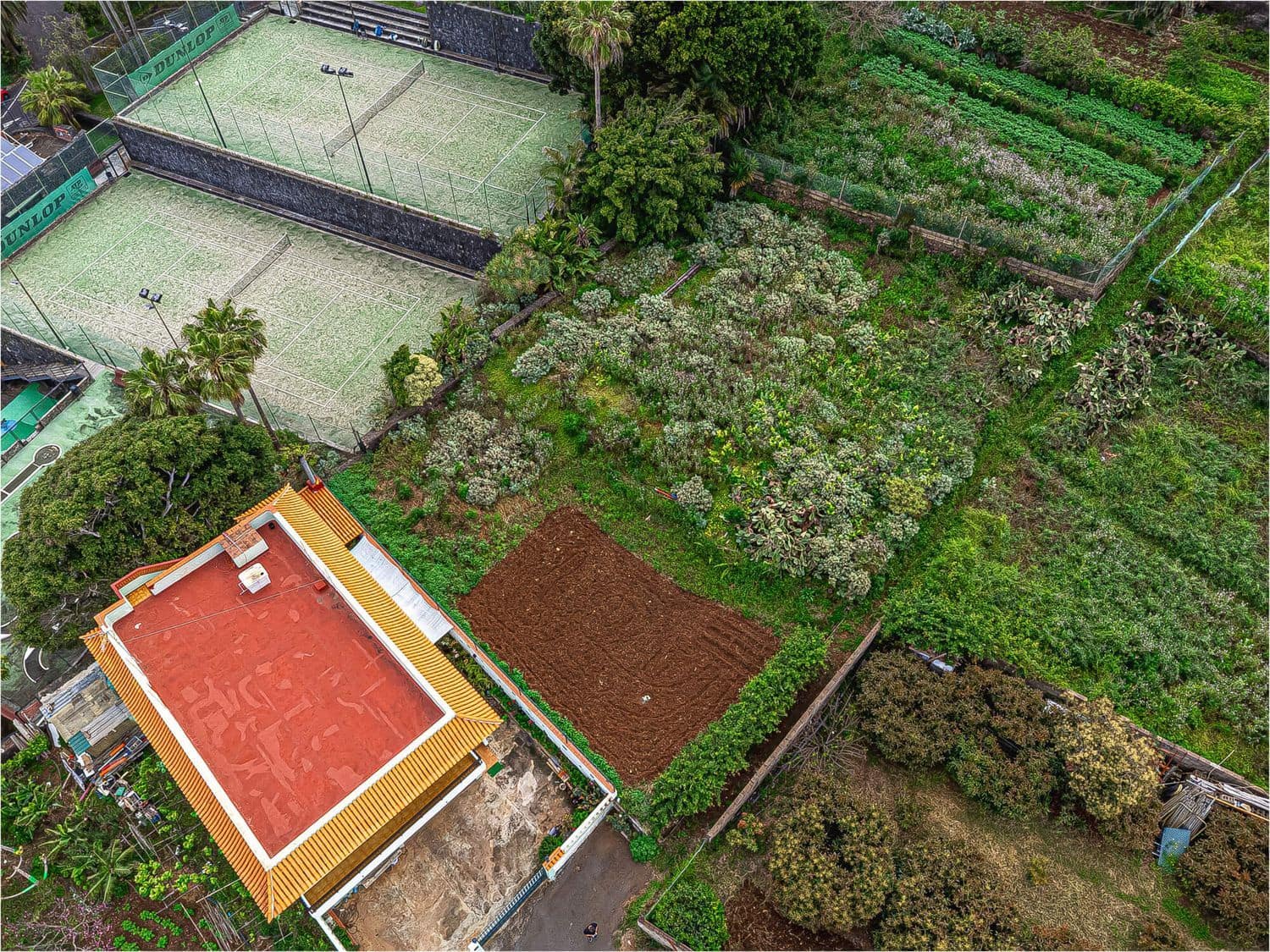 Undeveloped Land for sale in El Sauzal - € 330,000 (Ref: 9835198)