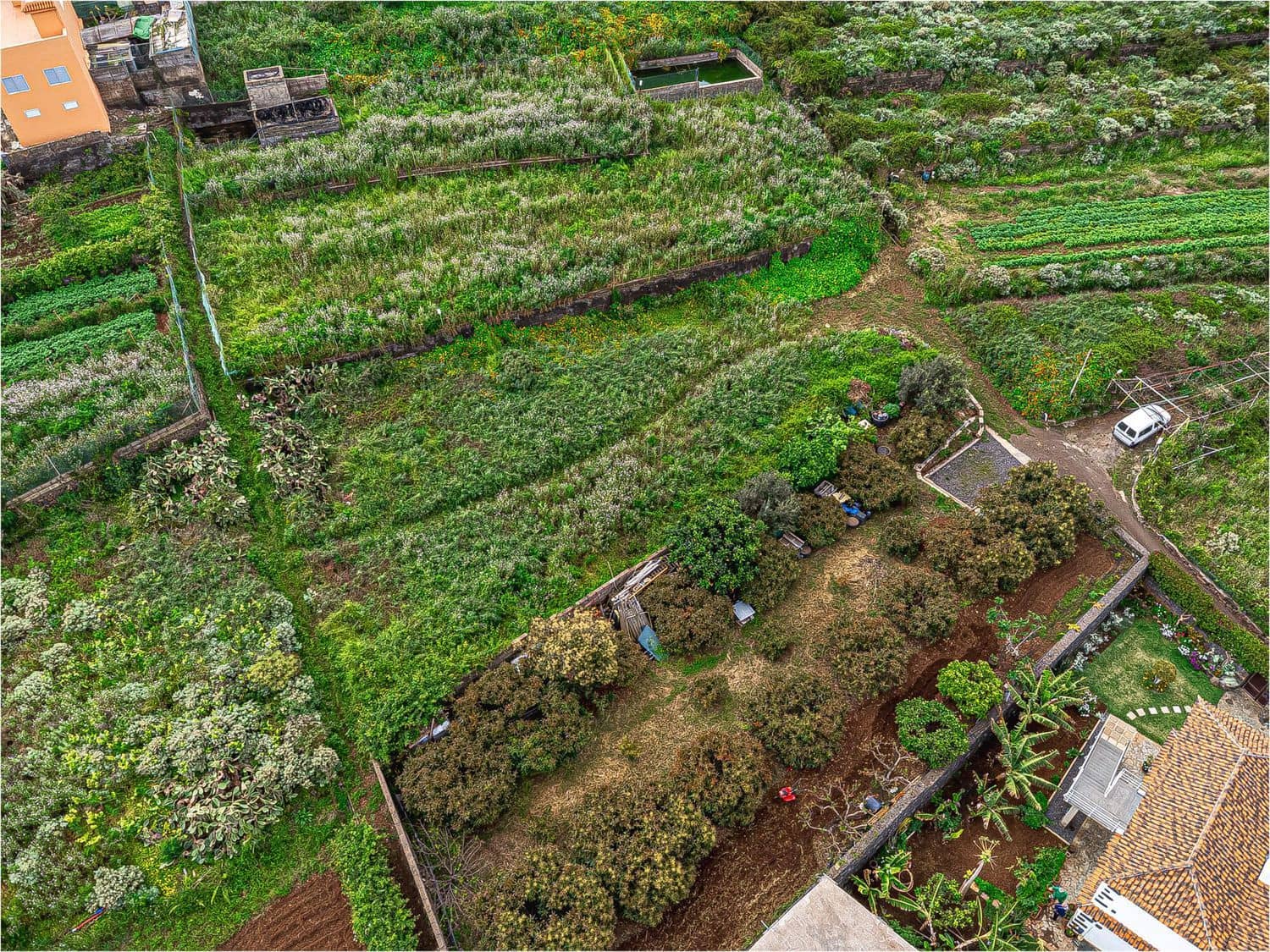 Undeveloped Land for sale in El Sauzal - € 330,000 (Ref: 9835198)