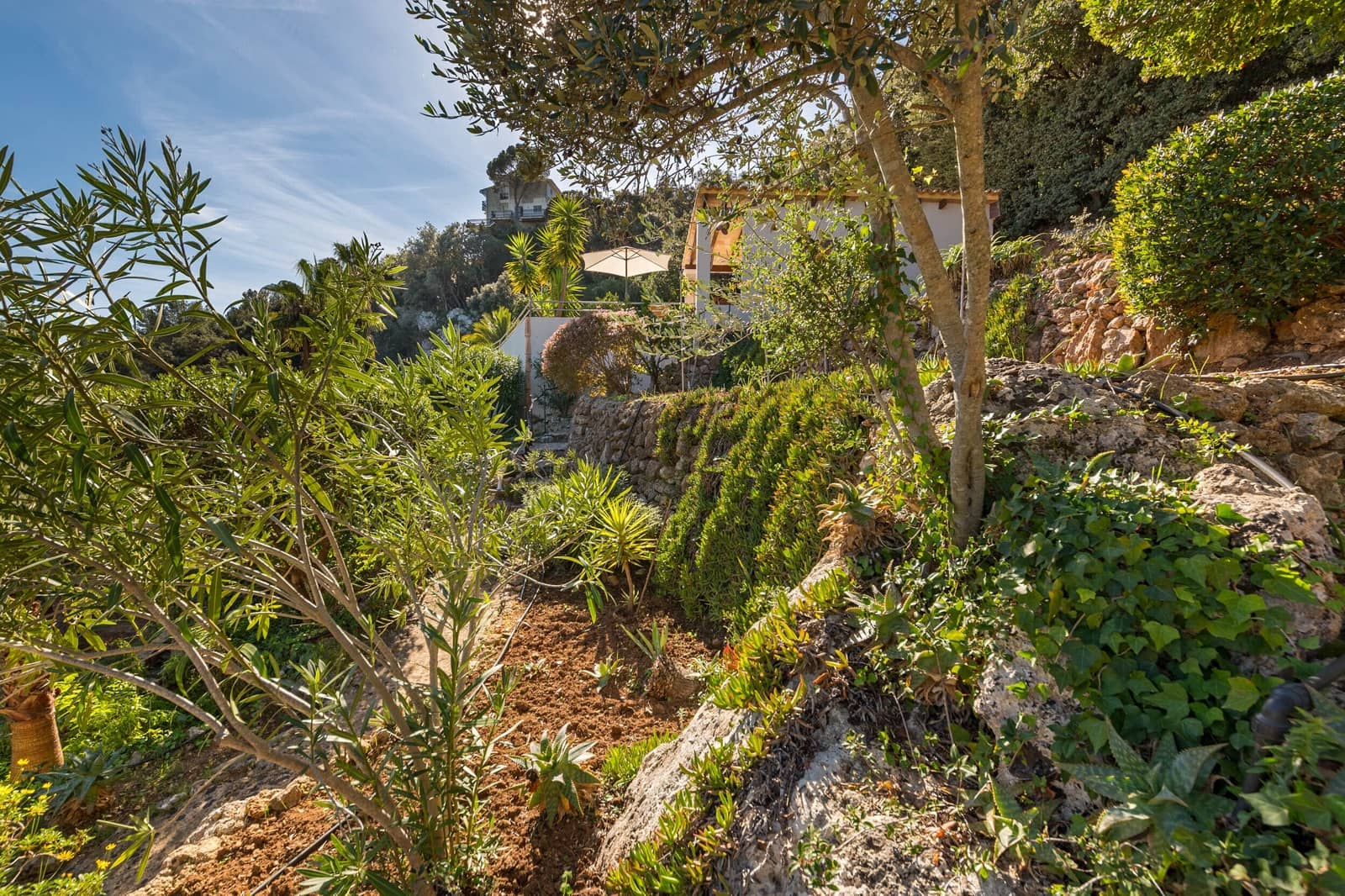 4 bedroom Villa for sale in Esporles with pool - € 2,200,000 (Ref: 8838679)