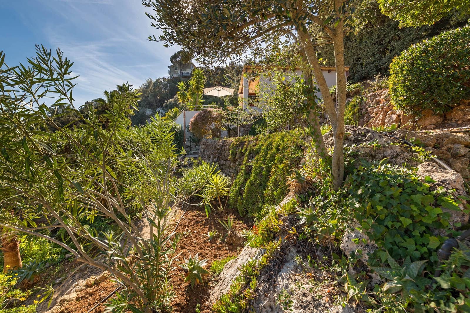 4 slaapkamer Finca/Landhuis te koop in Esporles met zwembad - € 1.950.000 (Ref: 8838679)