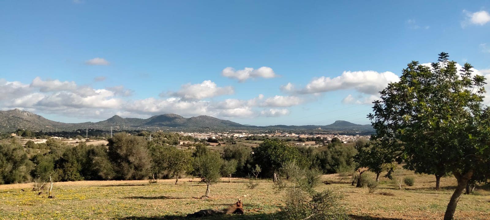 3 slaapkamer Finca/Landhuis te koop in San Lorenzo met zwembad - € 315.000 (Ref: 9928003)