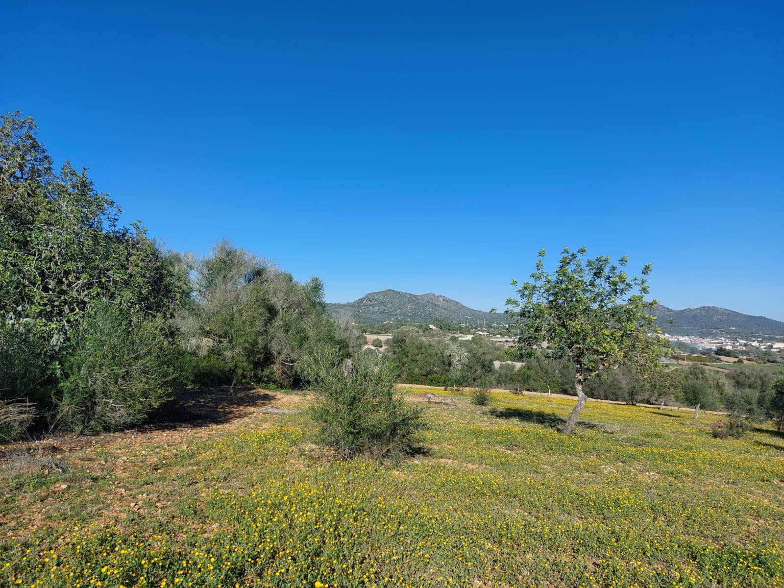 3 slaapkamer Finca/Landhuis te koop in San Lorenzo met zwembad - € 315.000 (Ref: 9928003)