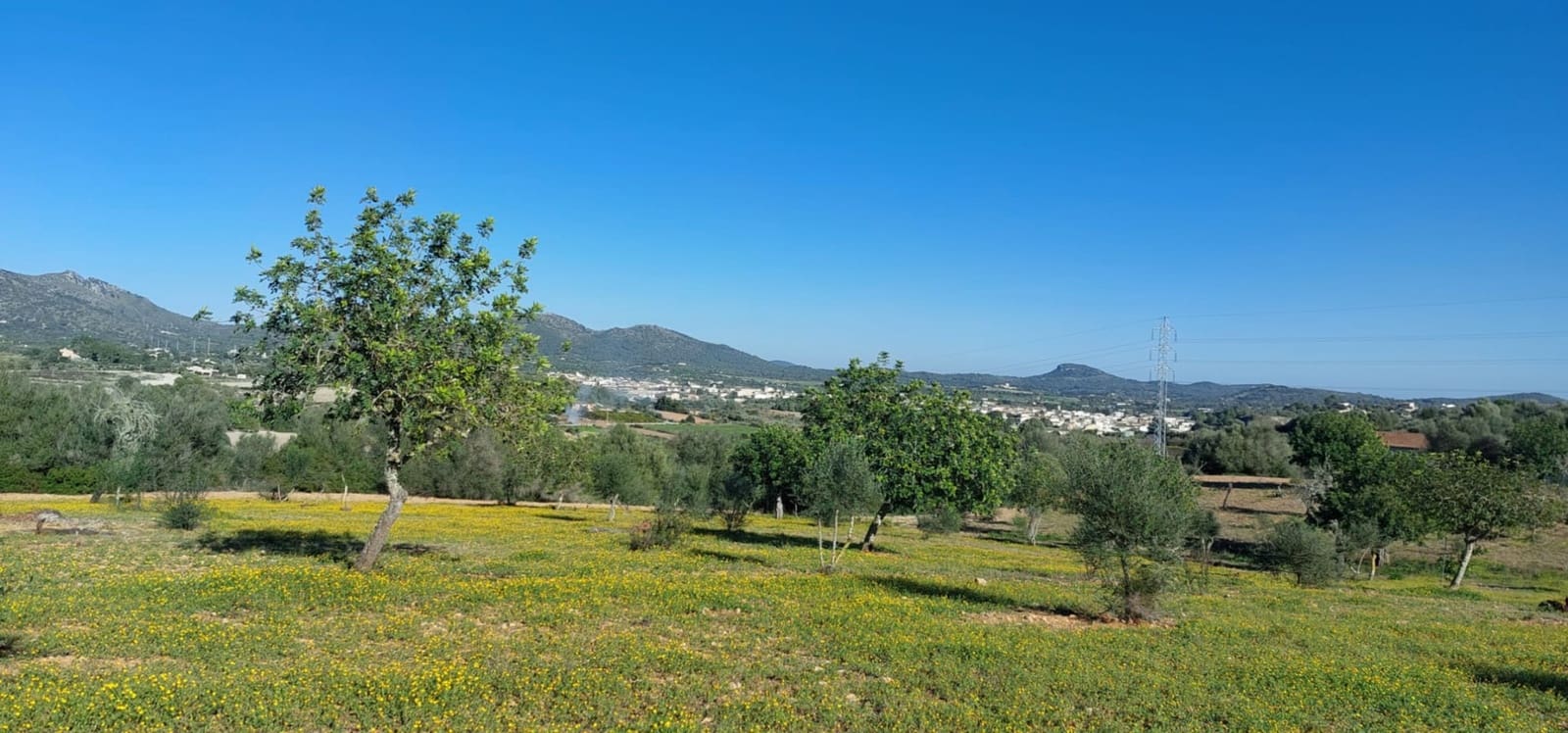 3 slaapkamer Finca/Landhuis te koop in San Lorenzo met zwembad - € 315.000 (Ref: 9928003)