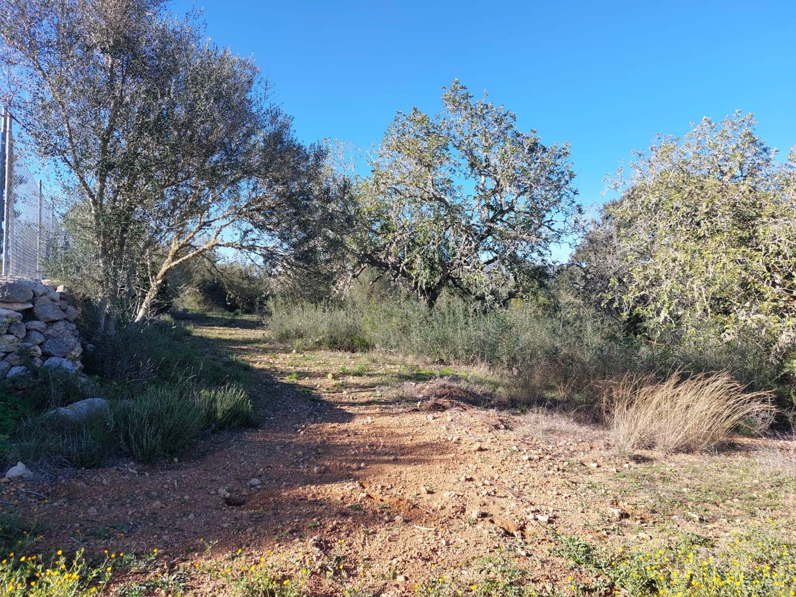 3 slaapkamer Finca/Landhuis te koop in San Lorenzo met zwembad - € 315.000 (Ref: 9928003)