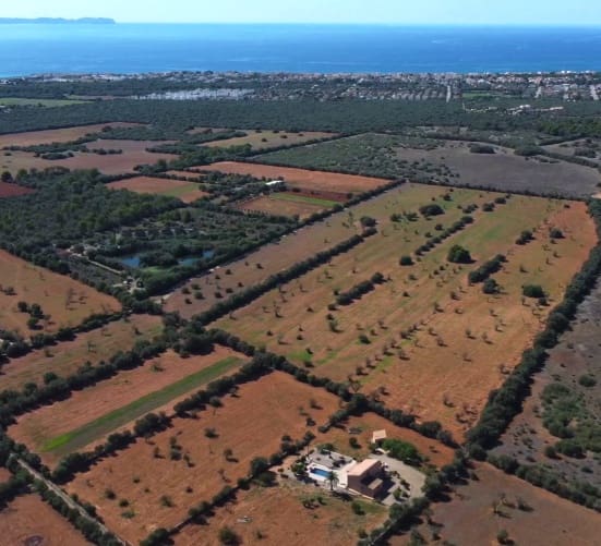 50 bedroom Villa for sale in Campos with pool garage - € 12,750,000 (Ref: 9928007)