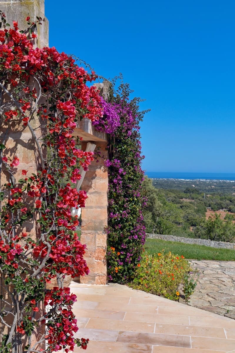12 Zimmer Finca/Landgut zu verkaufen in Cas Concos mit Pool Garage - 11.950.000 € (Ref: 9985126)