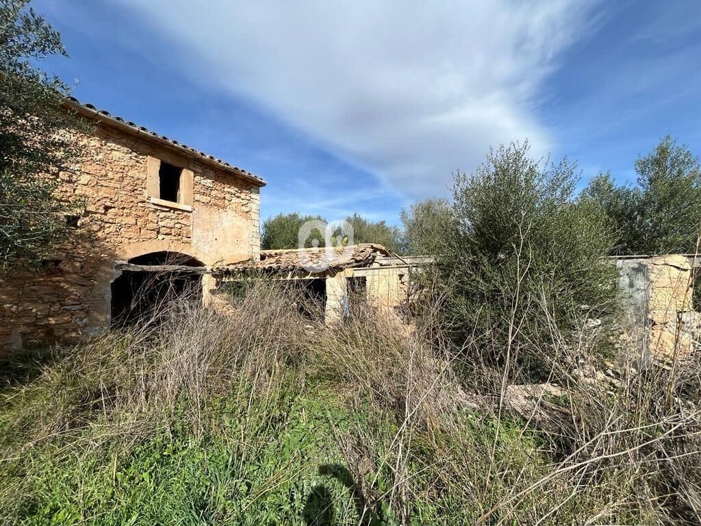 Finka/Dom wiejski na sprzedaż w Binissalem - 479 000 € (Ref: 7903128)