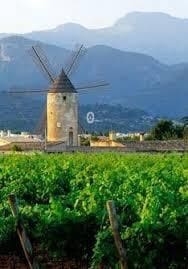 Finka/Dom wiejski na sprzedaż w Binissalem - 479 000 € (Ref: 7903128)