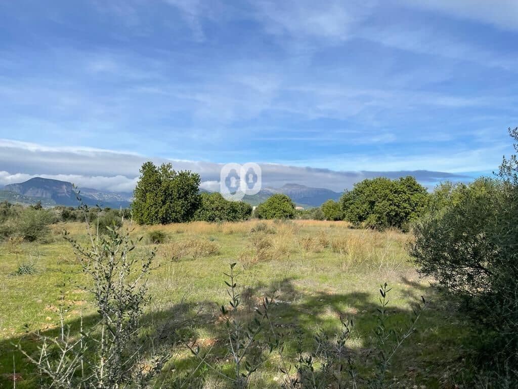 Finka/Dom wiejski na sprzedaż w Binissalem - 479 000 € (Ref: 7903128)