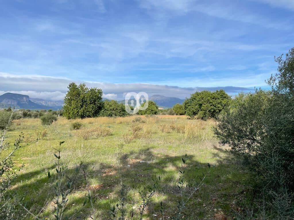 Finka/Dom wiejski na sprzedaż w Binissalem - 479 000 € (Ref: 7903128)