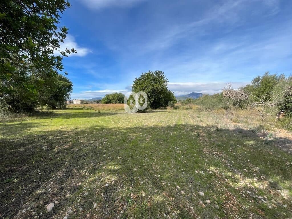 Finka/Dom wiejski na sprzedaż w Binissalem - 479 000 € (Ref: 7903128)