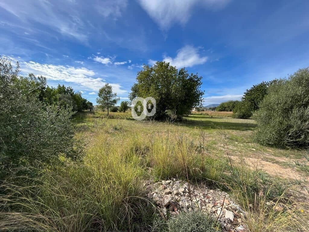 Finka/Dom wiejski na sprzedaż w Binissalem - 479 000 € (Ref: 7903128)