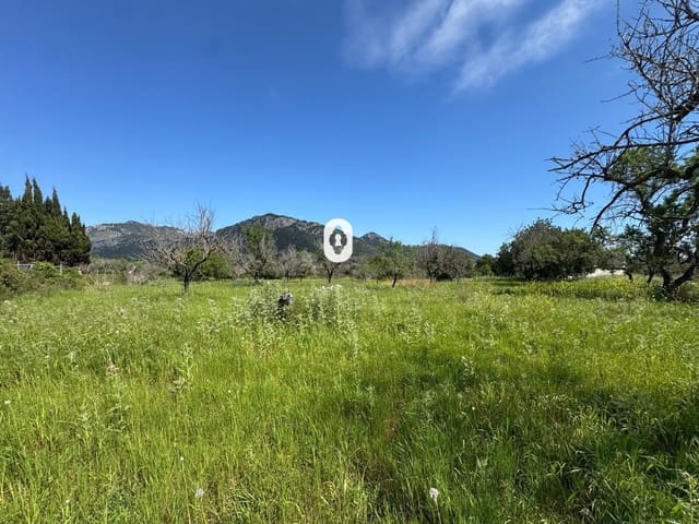 Building Plot for sale in Selva - € 410,000 (Ref: 9108841)