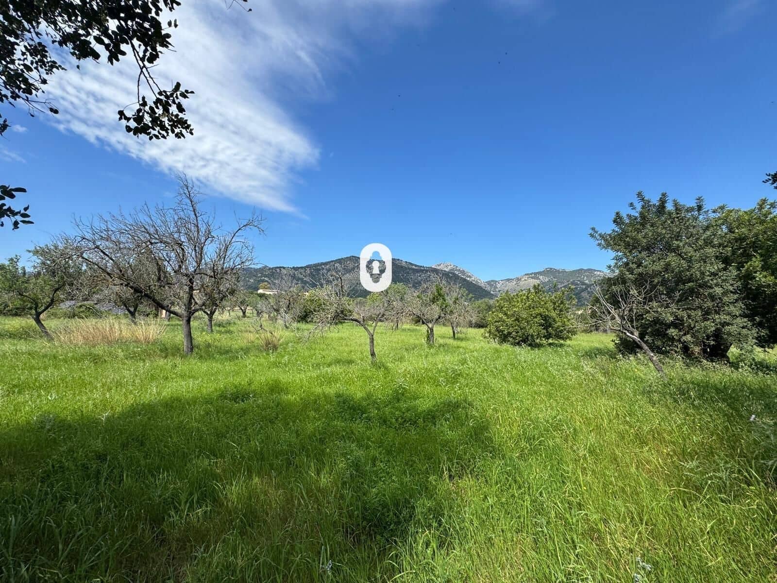 Byggegrund til salg i Selva - € 395.000 (Ref: 9108841)