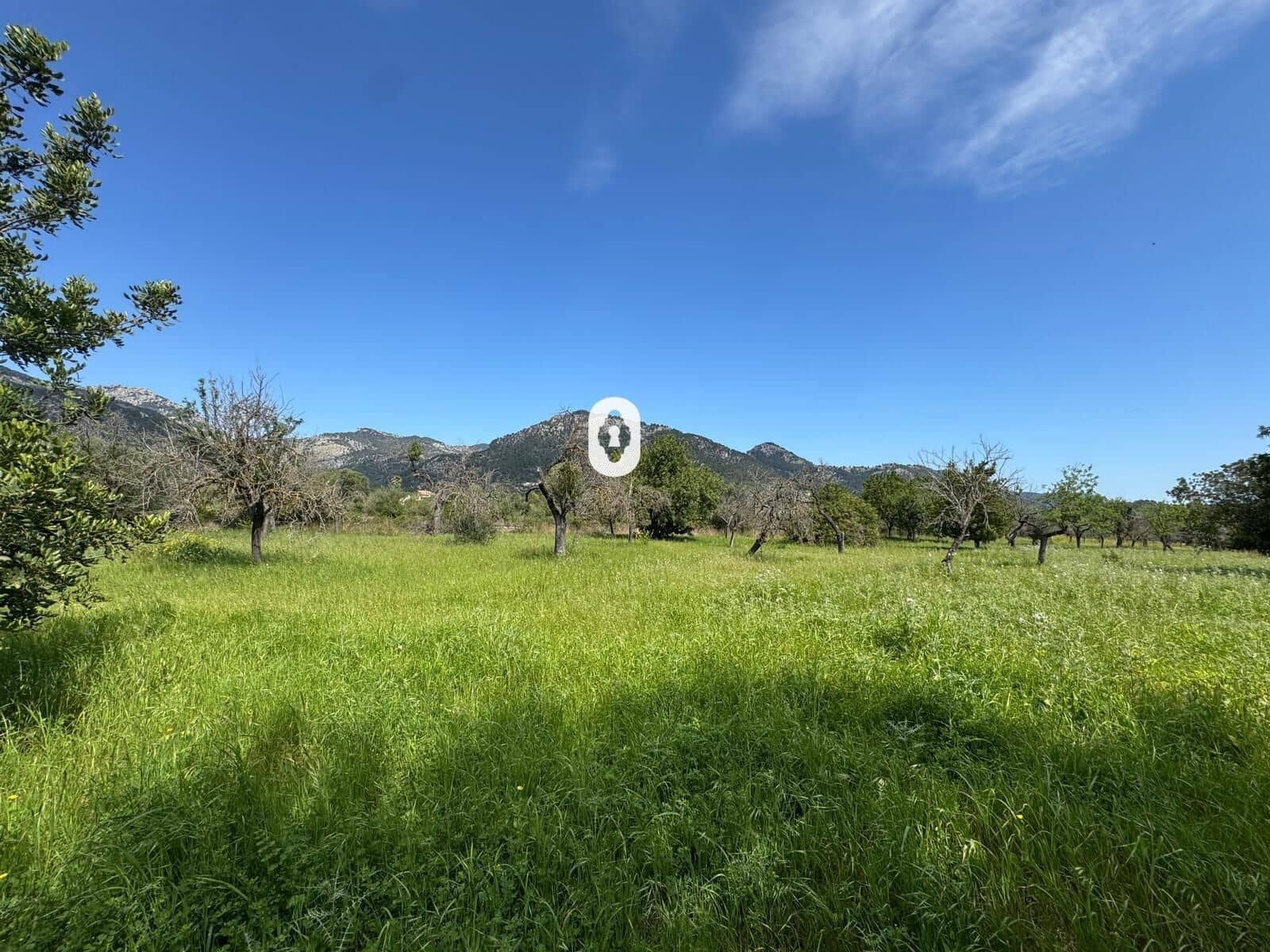 Byggegrund til salg i Selva - € 395.000 (Ref: 9108841)