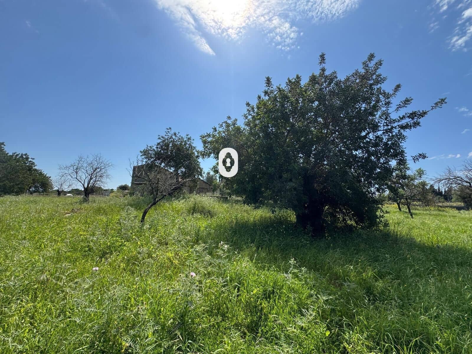 Byggegrund til salg i Selva - € 395.000 (Ref: 9108841)