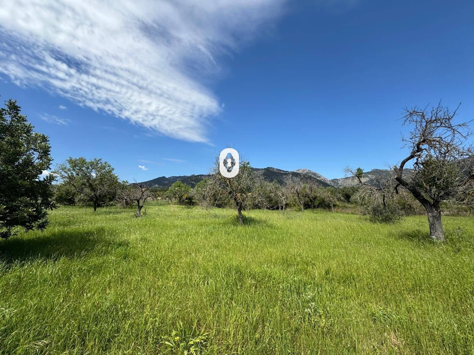 Byggegrund til salg i Selva - € 395.000 (Ref: 9108841)