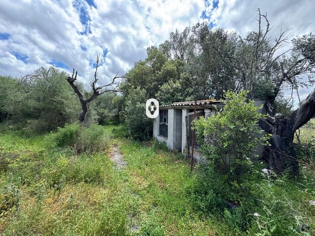 Terreno Não Urbanizado para venda em Inca - 130 000 € (Ref: 9108843)