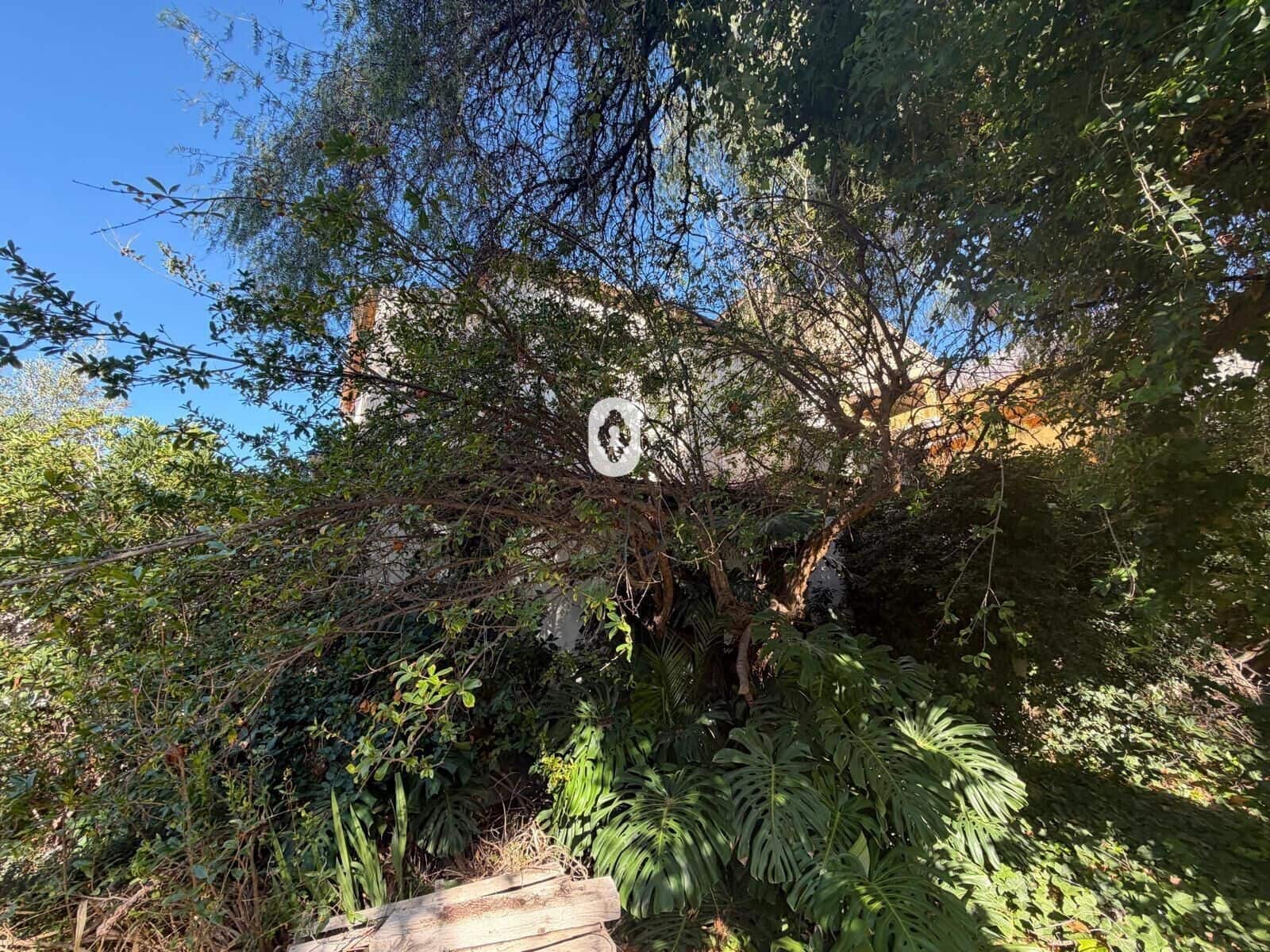 Bouwgrond te koop in Palma de Mallorca - € 770.000 (Ref: 9403497)