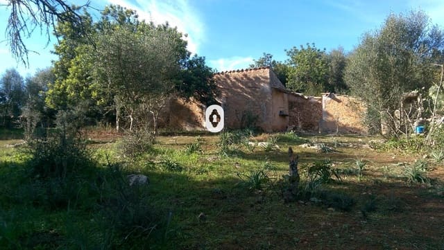 Area Edificabile in vendita in Llubí - 175.000 € (Rif: 9470514)