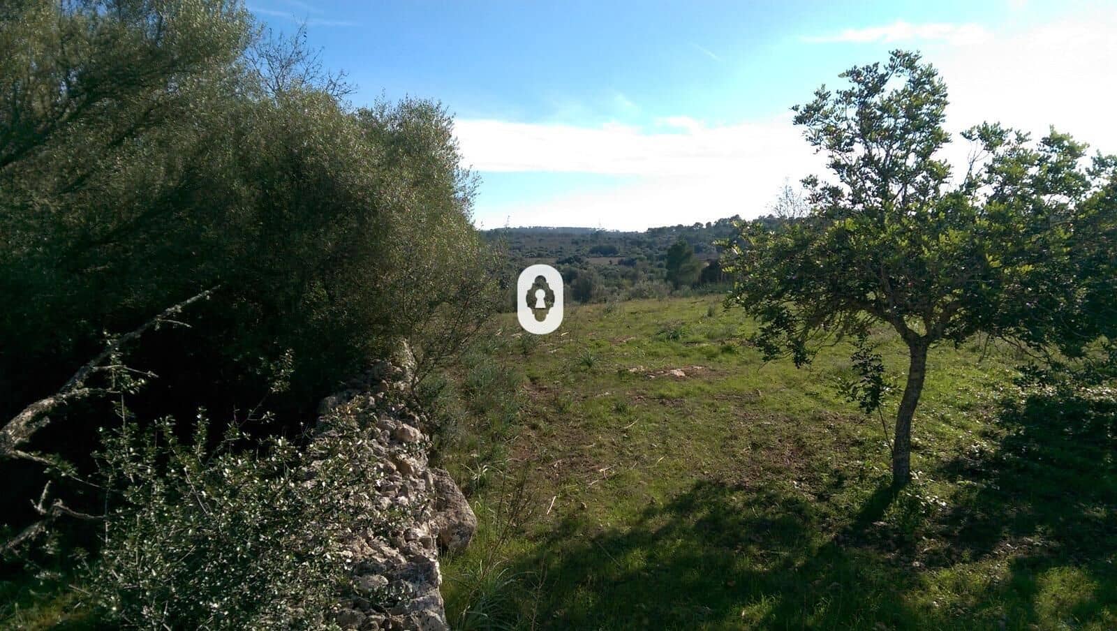 Bauplatz zu verkaufen in Llubi - 175.000 € (Ref: 9470514)