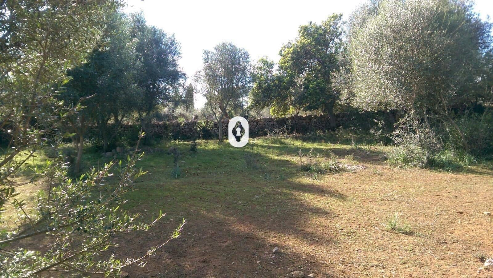 Bauplatz zu verkaufen in Llubi - 175.000 € (Ref: 9470514)