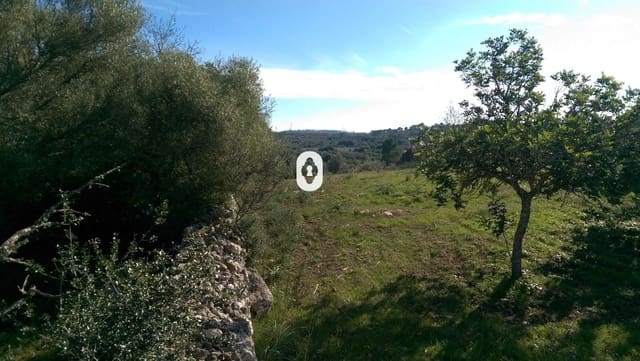 Area Edificabile in vendita in Llubí - 175.000 € (Rif: 9470514)