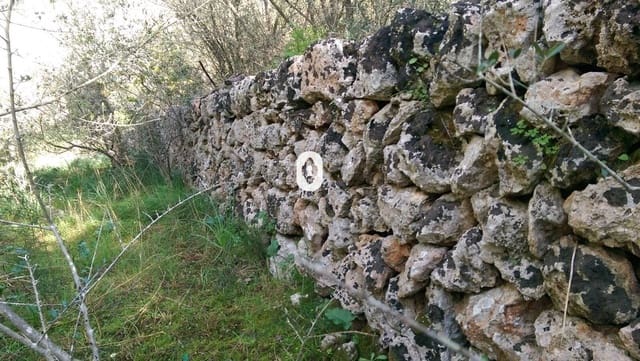 Area Edificabile in vendita in Llubí - 175.000 € (Rif: 9470514)