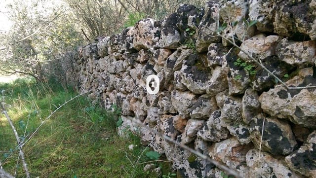 Area Edificabile in vendita in Llubí - 175.000 € (Rif: 9470514)