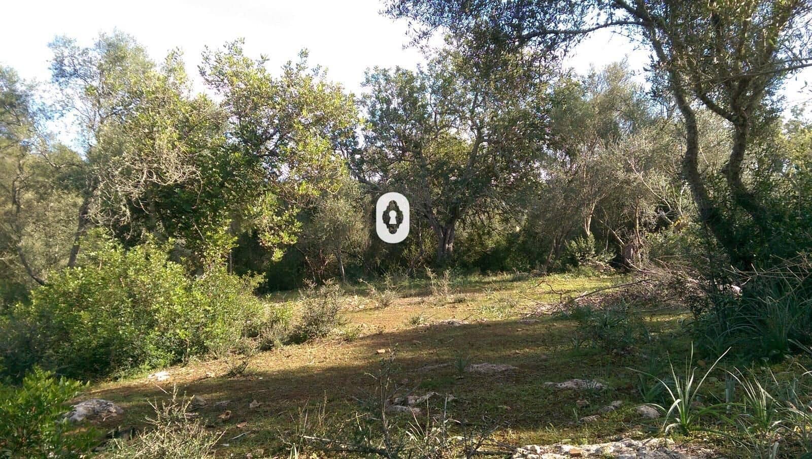 Bauplatz zu verkaufen in Llubi - 175.000 € (Ref: 9470514)