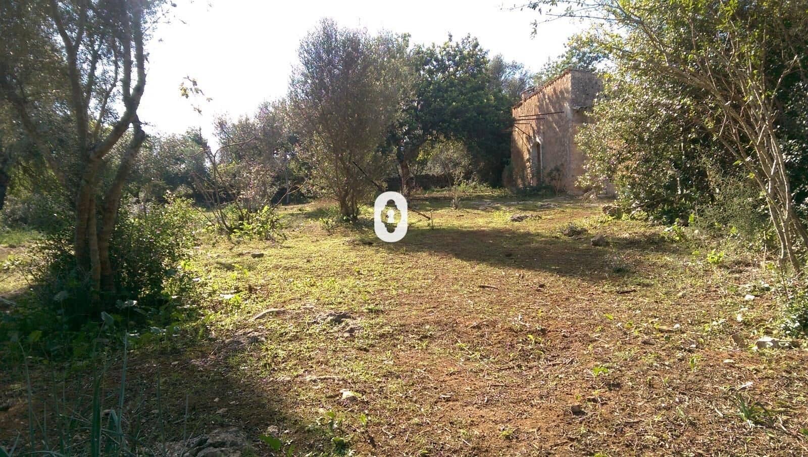 Bauplatz zu verkaufen in Llubi - 175.000 € (Ref: 9470514)