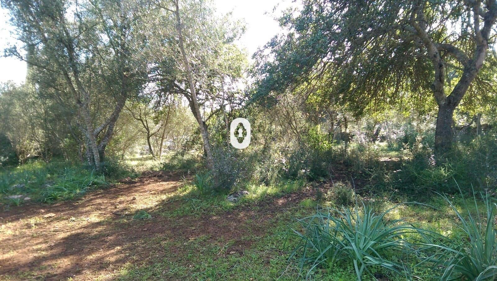 Bauplatz zu verkaufen in Llubi - 175.000 € (Ref: 9470514)