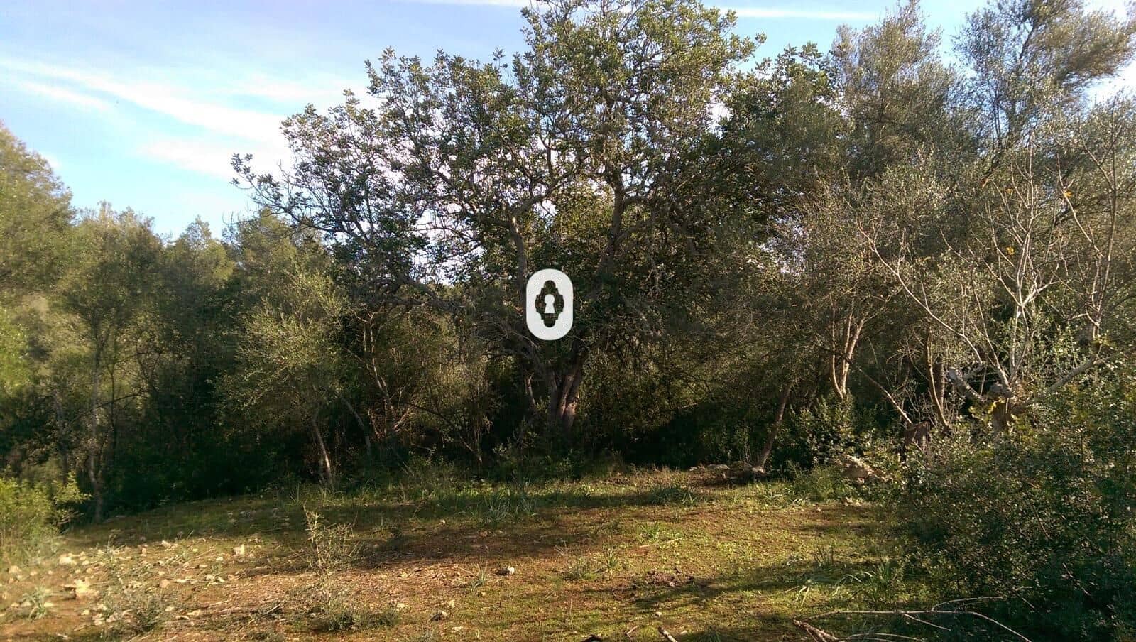 Bauplatz zu verkaufen in Llubi - 175.000 € (Ref: 9470514)