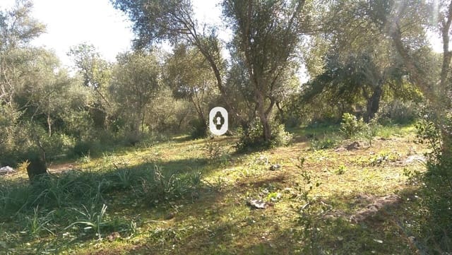 Area Edificabile in vendita in Llubí - 175.000 € (Rif: 9470514)