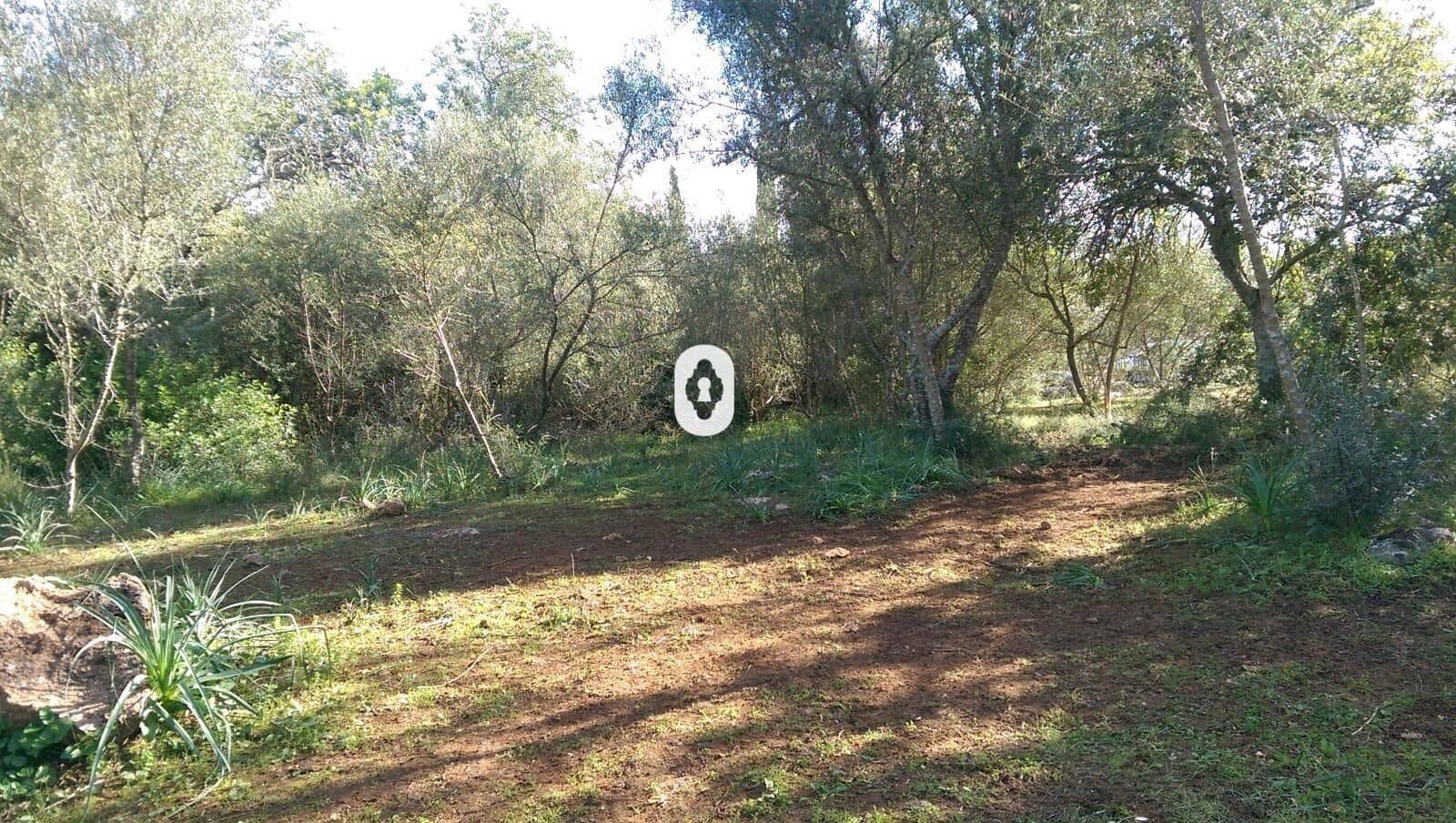 Bauplatz zu verkaufen in Llubi - 175.000 € (Ref: 9470514)